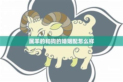 羊跟狗|属羊和属狗的相配吗